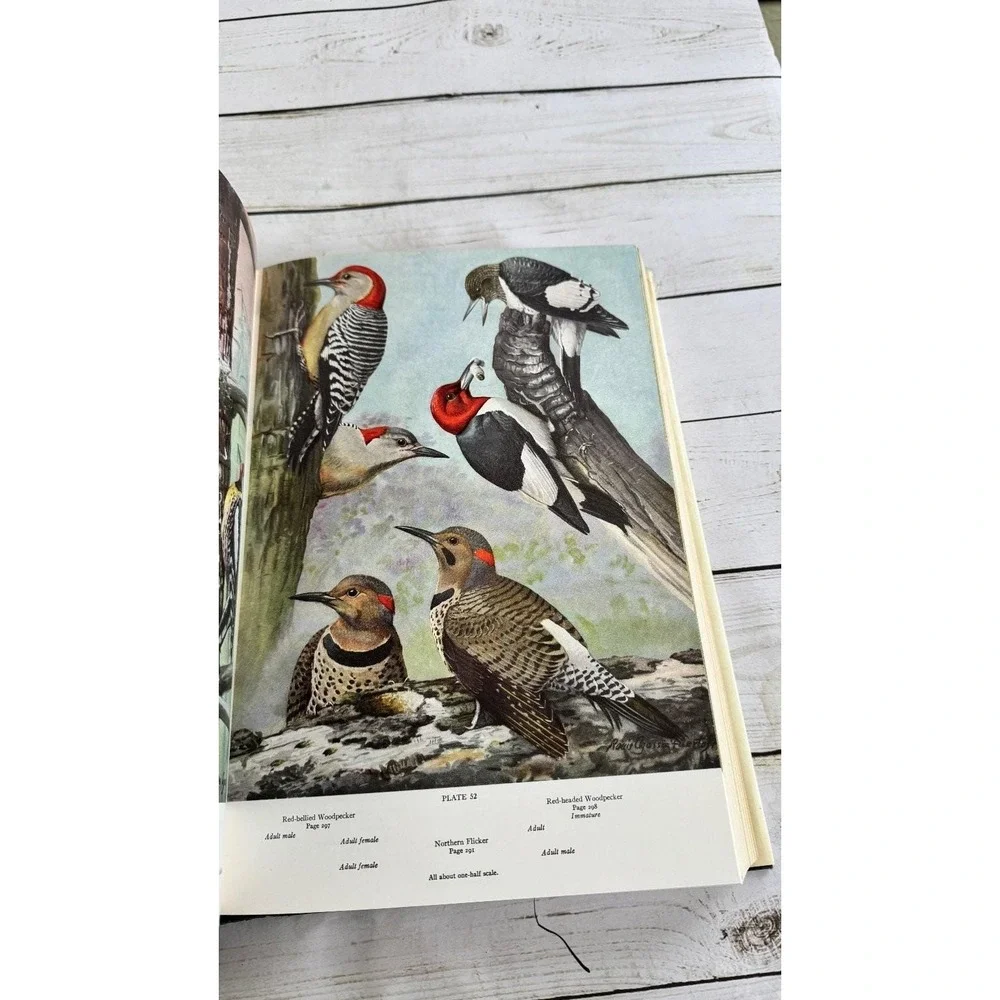 American Birds Forbush & May Bramhall House Illustrated Natural History